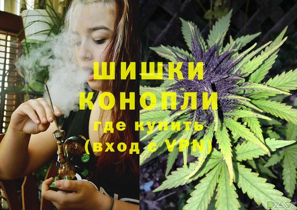 дмт Покачи