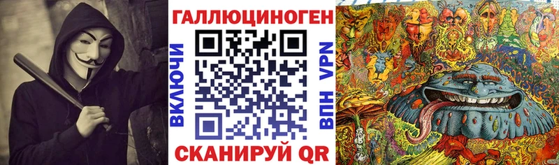 Галлюциногенные грибы Psilocybe  Новоузенск 
